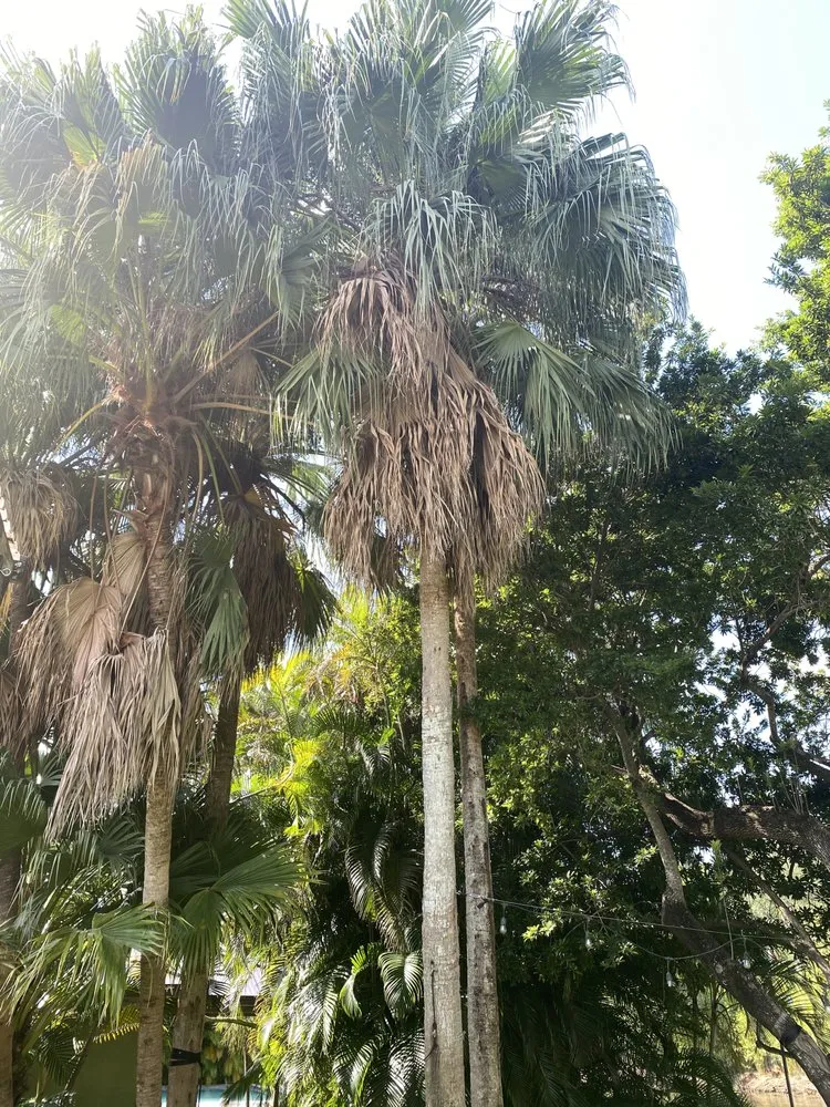 Local garden landscaping experts serving Miramar, FL - Elio Landscaping