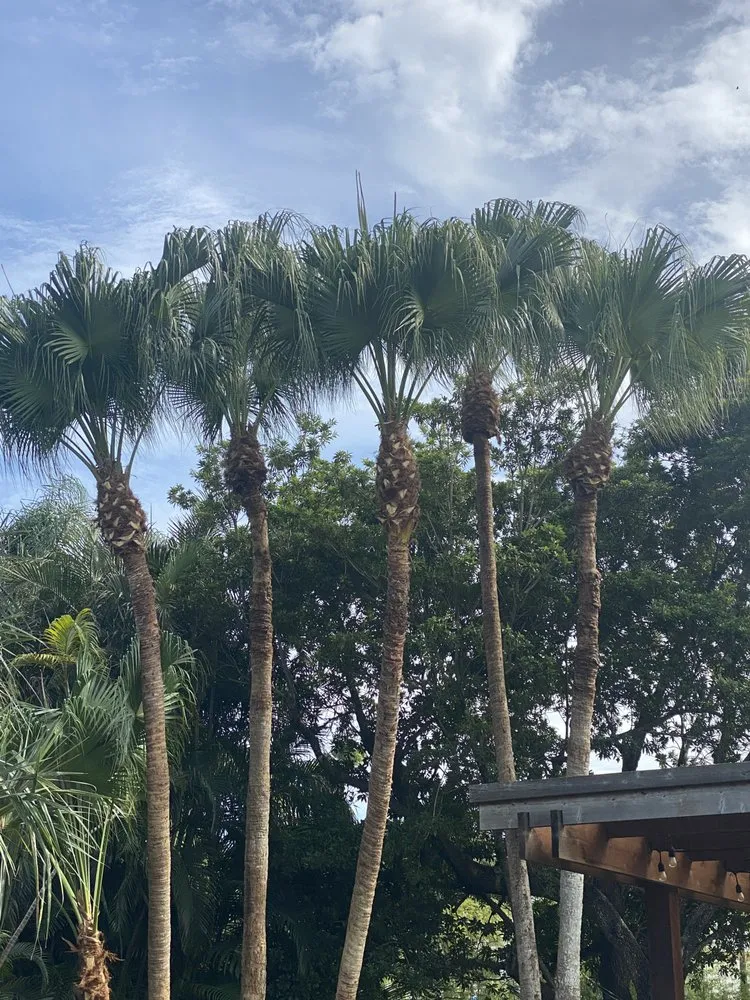 Affordable lawn care service experts serving Miramar, FL - Elio Landscaping