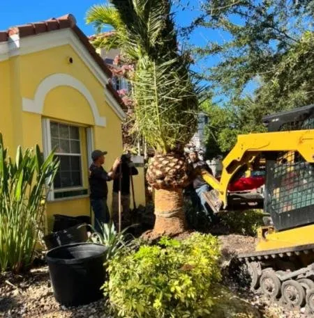 Local yard maintenance in Miramar, FL - Elio Landscaping