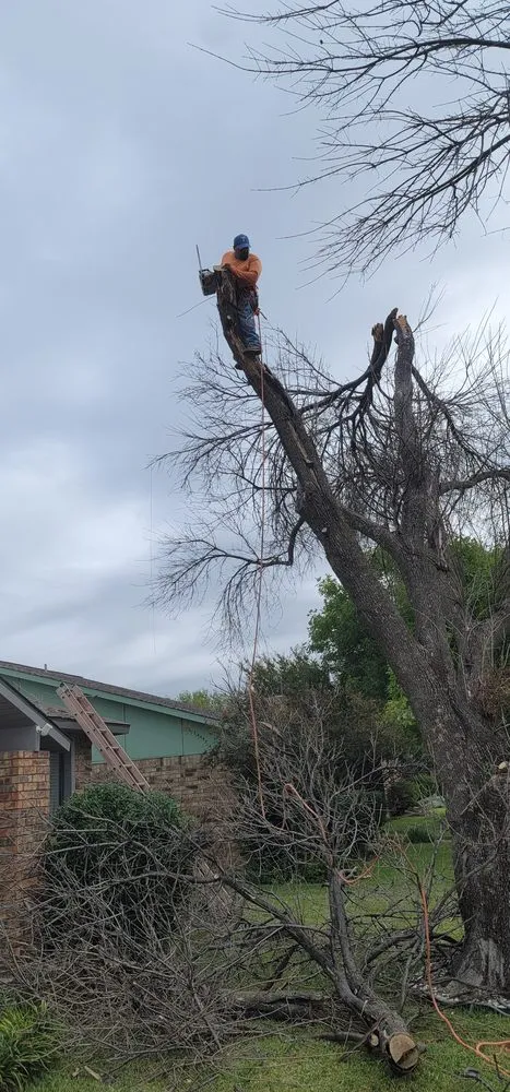 Expert lawn care service in Moore, OK by Elion Landscaping & Tree Service