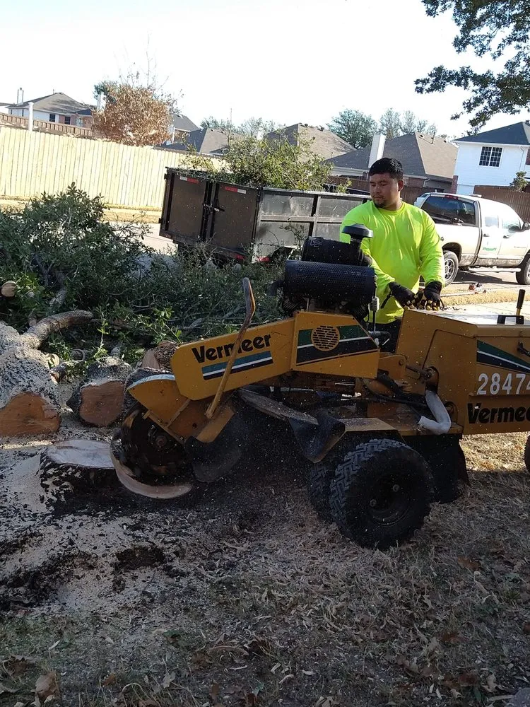 Affordable outdoor landscaping in Moore, OK - Elion Landscaping & Tree Service
