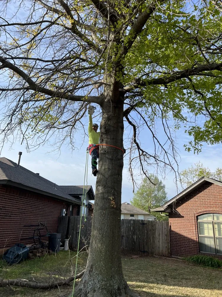 Expert yard cleanup service in Moore, OK - Elion Landscaping & Tree Service