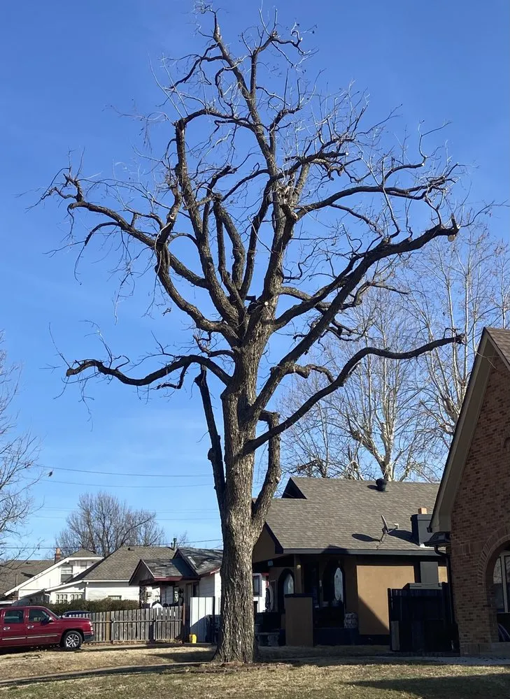 Trusted landscape installation in Moore, OK by Elion Landscaping & Tree Service