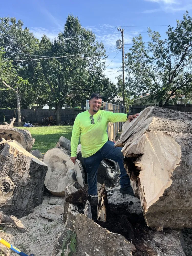 Affordable lawn care service experts serving Moore, OK - Elion Landscaping & Tree Service