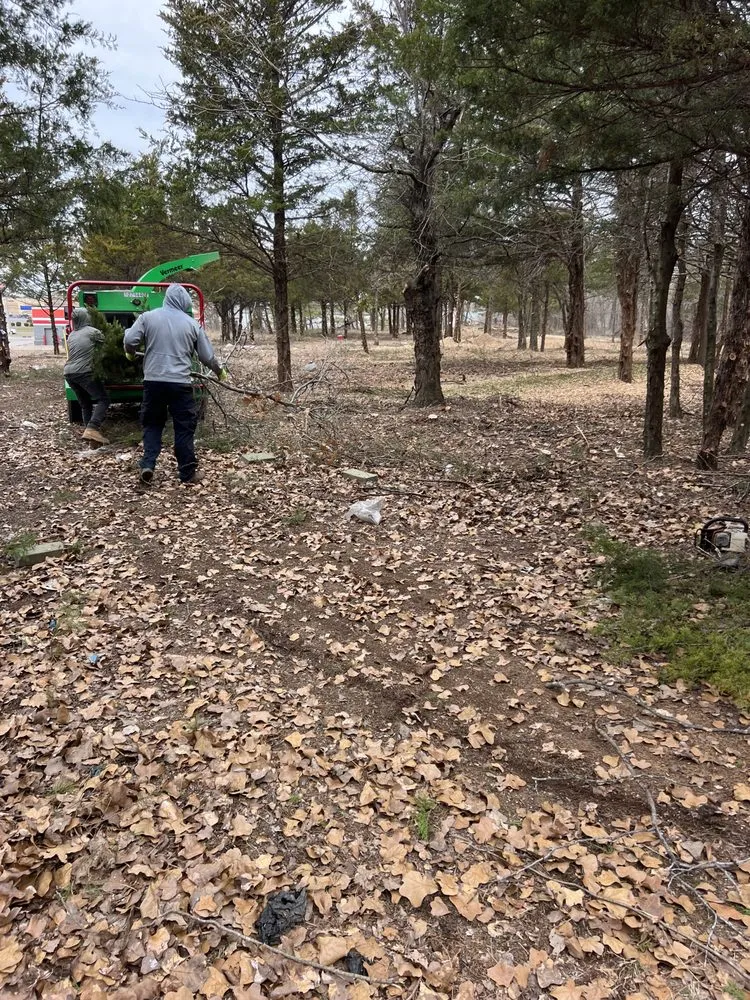 Reliable garden landscaping experts serving Moore, OK - Elion Landscaping & Tree Service