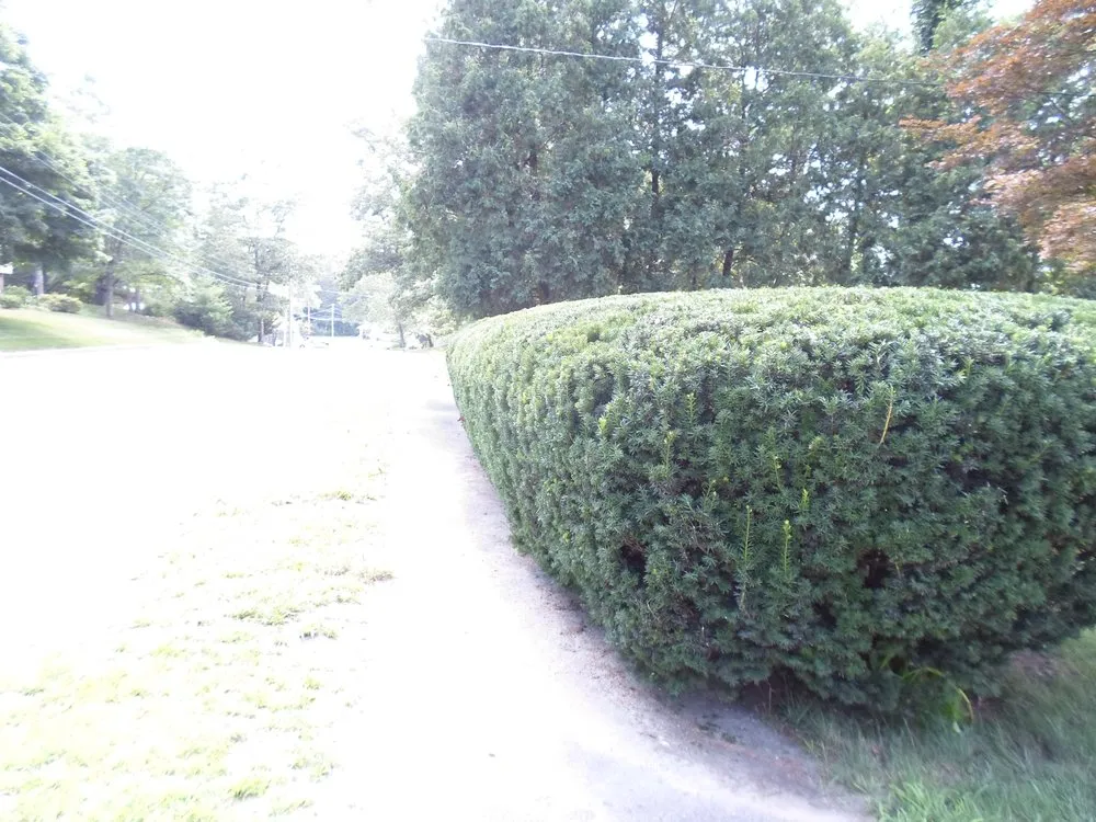 Professional landscape design for homes in Framingham, MA by Elios Landscaping