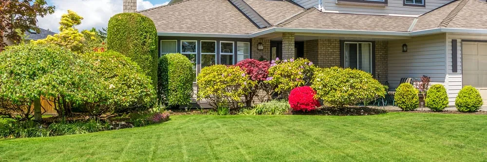 Trusted landscape installation in Framingham, MA by Elios Landscaping