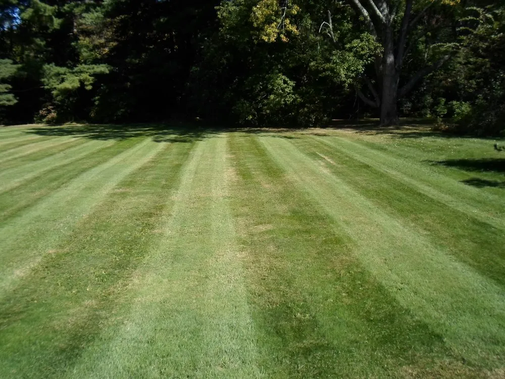 Top-rated lawn care service near you in Framingham, MA by Elios Landscaping