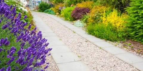 Professional lawn mowing service for outdoor upgrades across Bulverde, TX - Eliot's Landscape