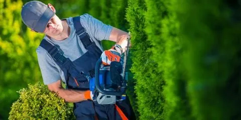 Expert landscaping services with custom design across Bulverde, TX - Eliot's Landscape