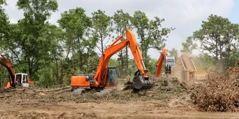 Local landscape design for homes across Bulverde, TX - Eliot's Landscape