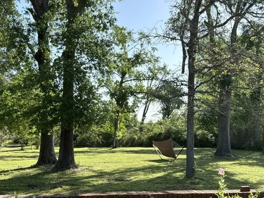 Eli's Landscaping & Lawn Services