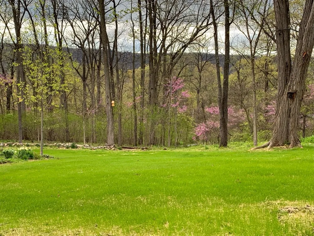 Affordable lawn care service in Mifflintown, PA - Eli’s Landscaping & Services