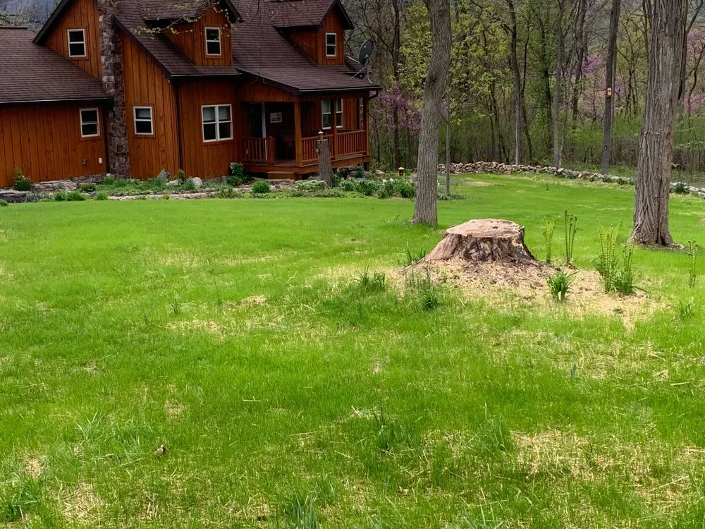 Expert lawn mowing service in Mifflintown, PA by Eli’s Landscaping & Services