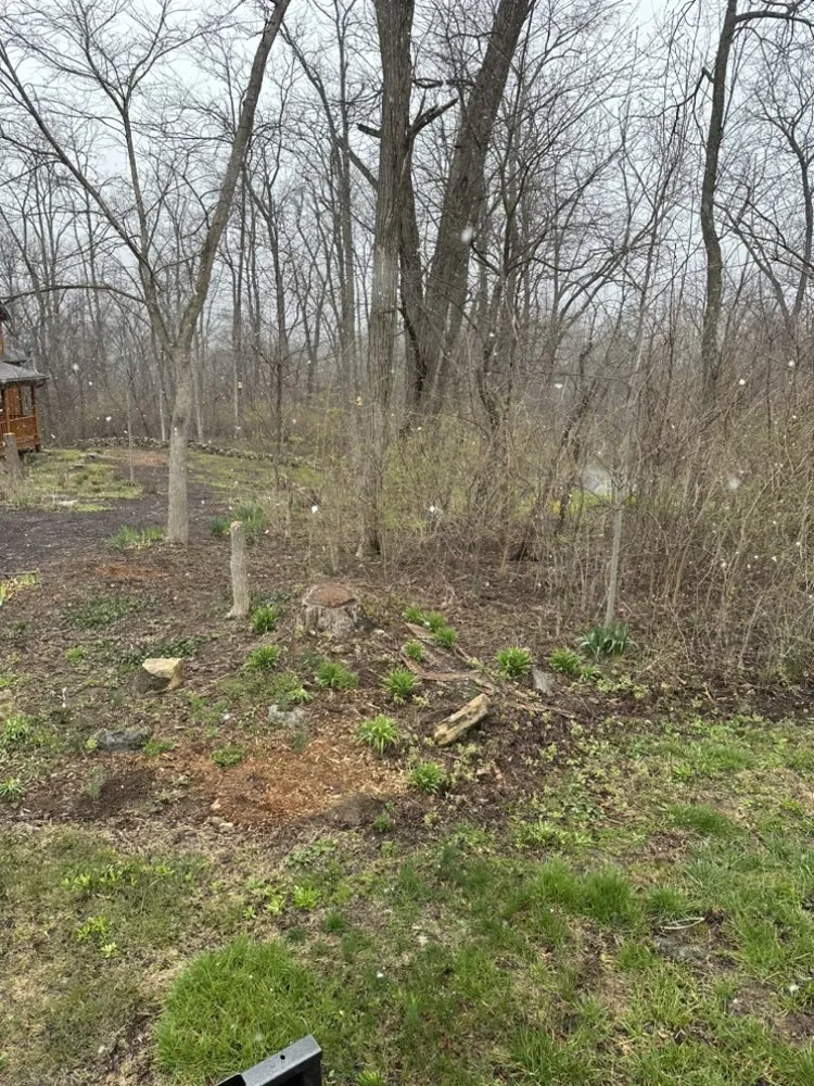 Custom landscaping services experts serving Mifflintown, PA - Eli’s Landscaping & Services