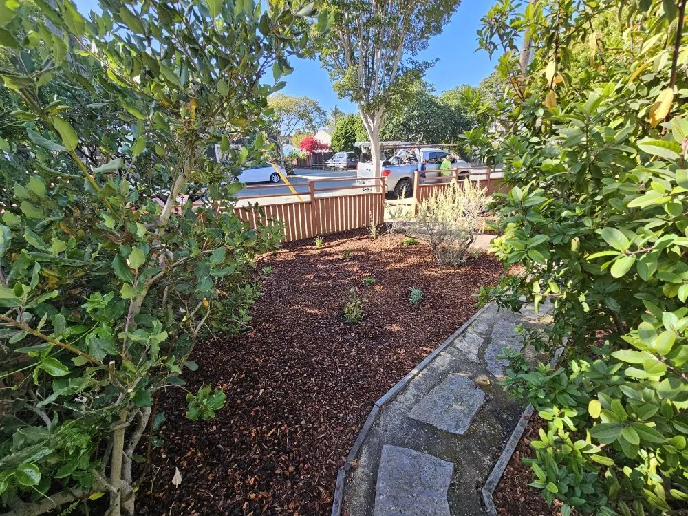Top-rated outdoor landscaping experts serving Rodeo, CA - Eli's Landscaping