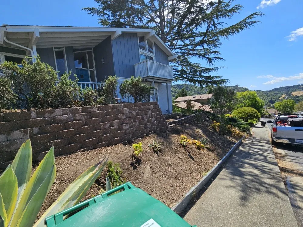 Top-rated landscape installation in Rodeo, CA by Eli's Landscaping