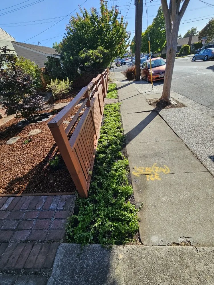 Expert landscaping services in Rodeo, CA by Eli's Landscaping