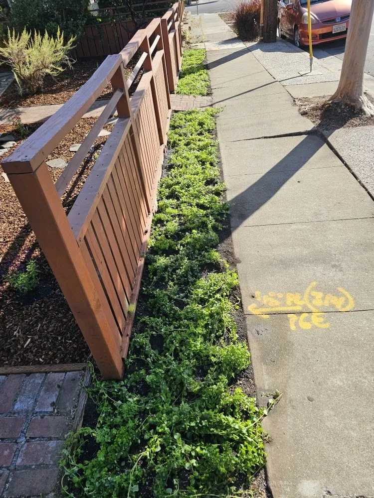 Local outdoor landscaping in Rodeo, CA by Eli's Landscaping