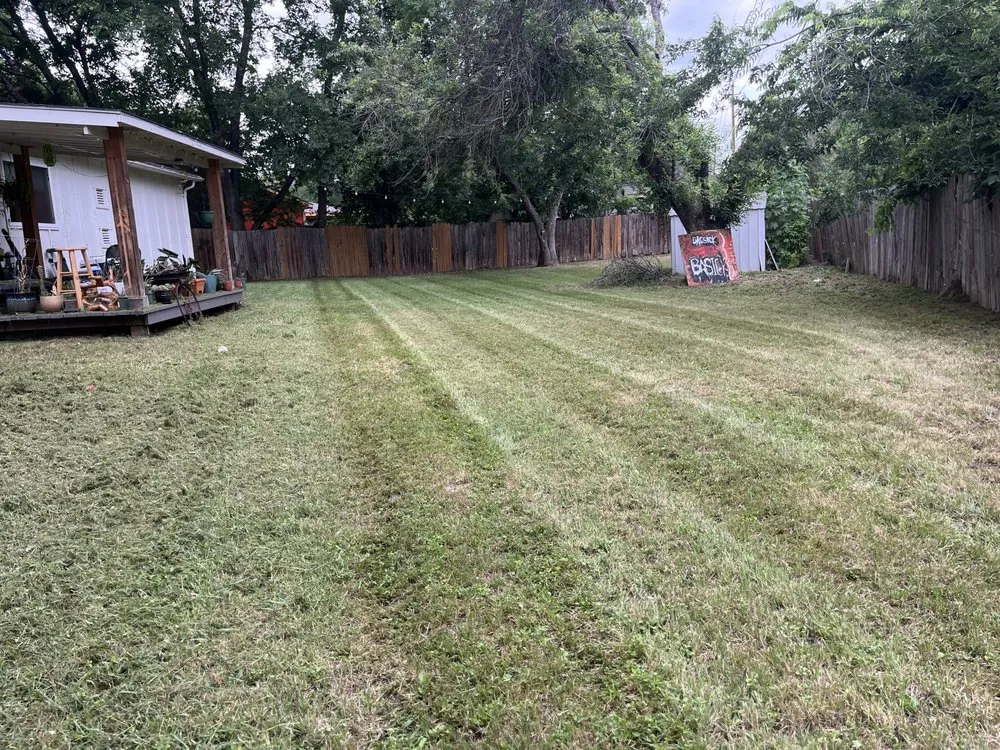 Professional yard cleanup service experts serving Austin, TX - Eli’s Lawn Care