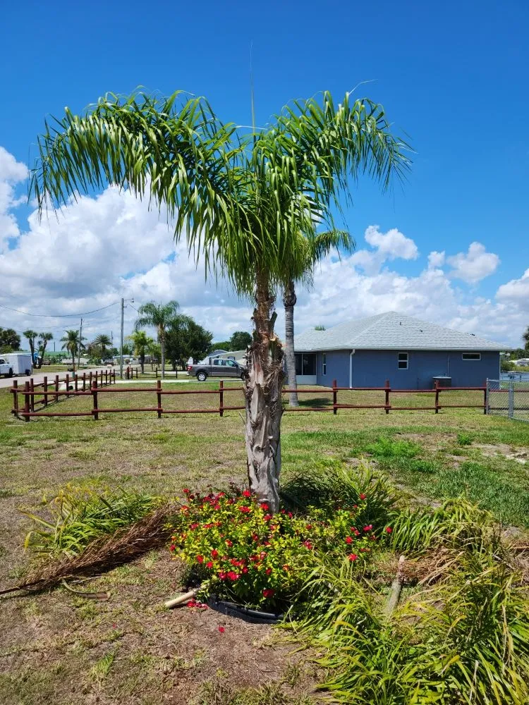 Trusted landscaping services for year-round maintenance across Okeechobee, FL - Eli's Lawn Care