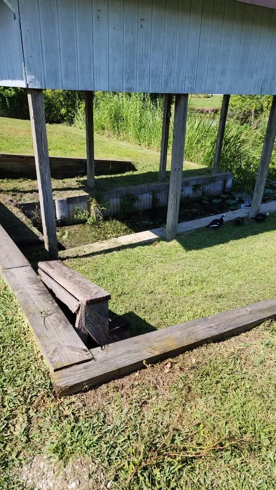 Expert lawn mowing service in Okeechobee, FL by Eli's Lawn Care