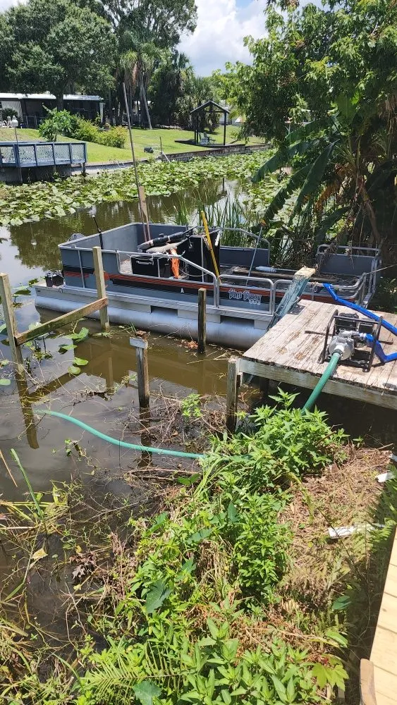 Custom yard cleanup service in Okeechobee, FL - Eli's Lawn Care