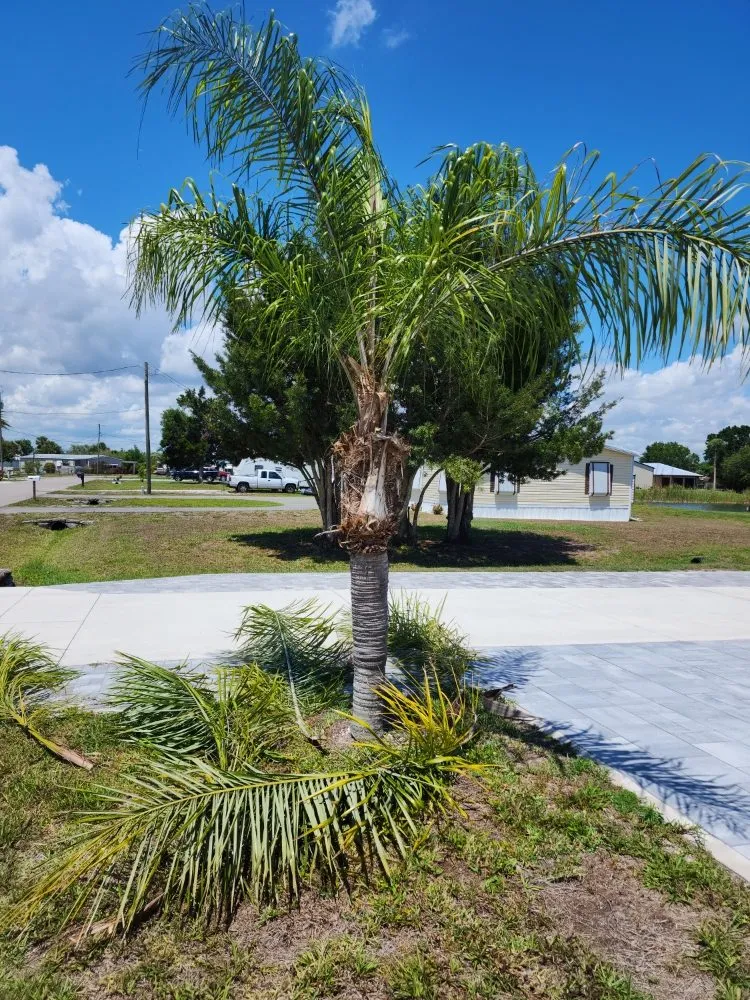 Expert outdoor landscaping for outdoor upgrades across Okeechobee, FL - Eli's Lawn Care