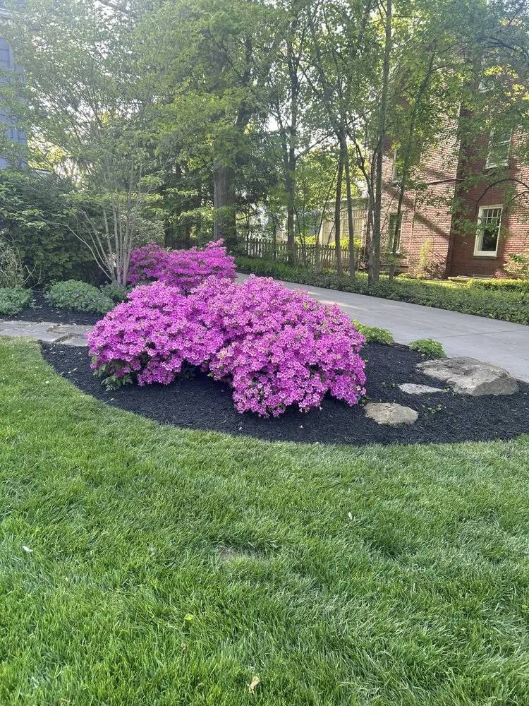 Expert garden landscaping in Cleveland Heights, OH by Elis Lawn Works