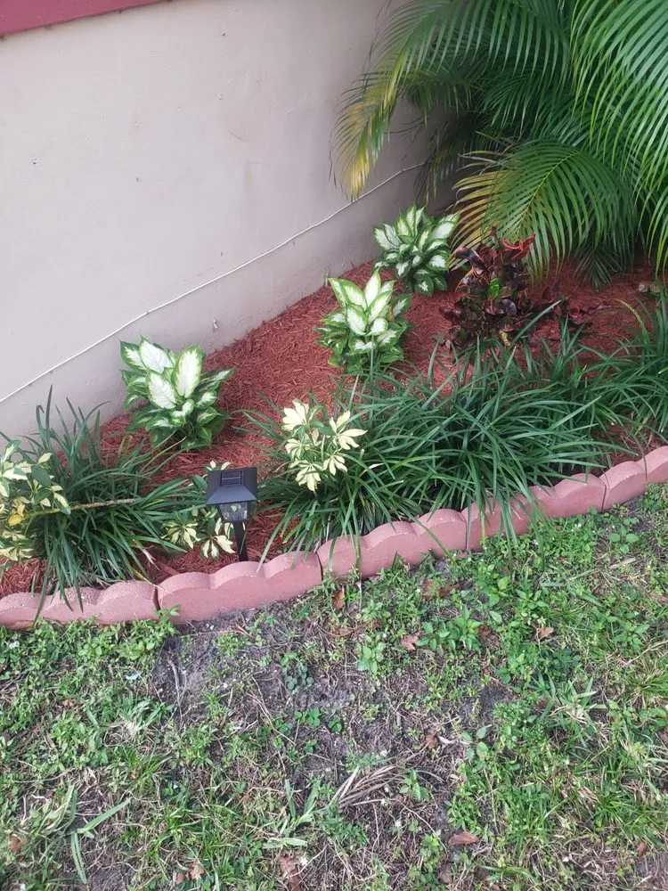 Professional outdoor landscaping in Plantation, FL by Eli's Maintenance