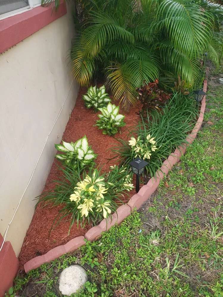 Custom yard cleanup service for homes in Plantation, FL by Eli's Maintenance