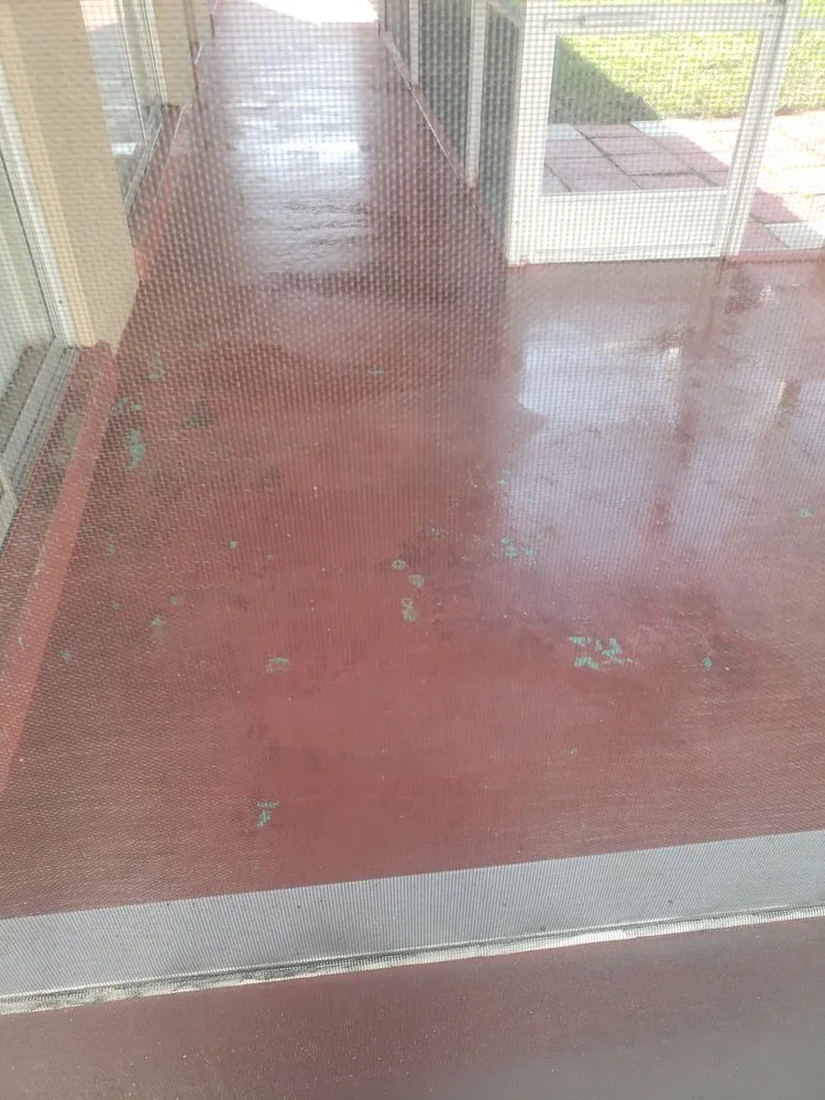 Local landscape design experts serving Plantation, FL - Eli's Maintenance