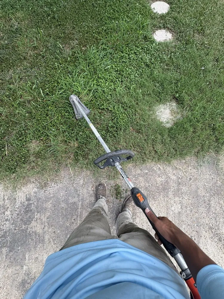 Expert landscape installation near you in Elsa, TX by Eli’s Yardwork