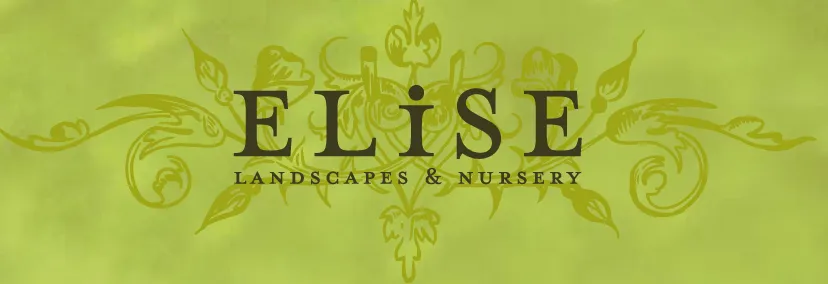 Affordable garden landscaping for homes across New Canaan, CT - Elise Landscape & Nursery