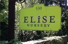 Custom outdoor landscaping for year-round maintenance across New Canaan, CT - Elise Landscape & Nursery