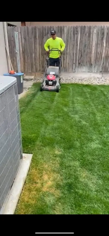 Reliable yard maintenance for year-round maintenance across Fresno, CA - Eliseo Aguilar