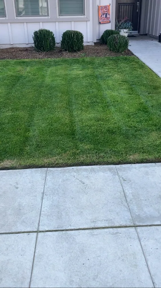 Reliable outdoor landscaping in Fresno, CA - Eliseo Aguilar