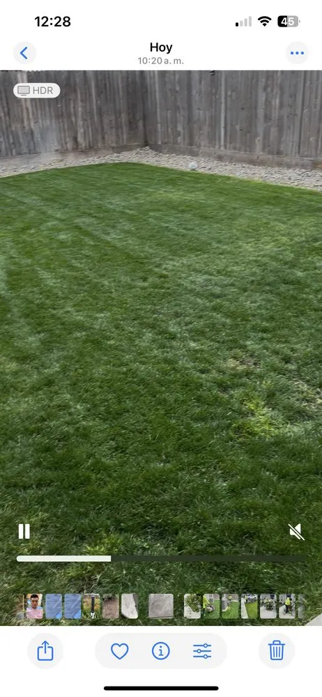 Top-rated lawn care service with custom design in Fresno, CA by Eliseo Aguilar
