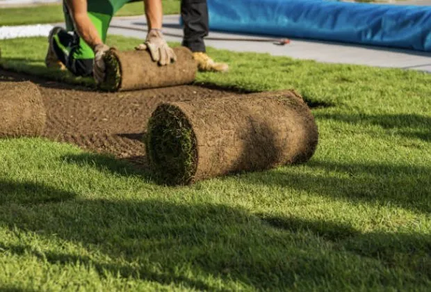 Expert residential landscaping in San Fernando Valley, CA - Eliseo Gardening Service Landscaping