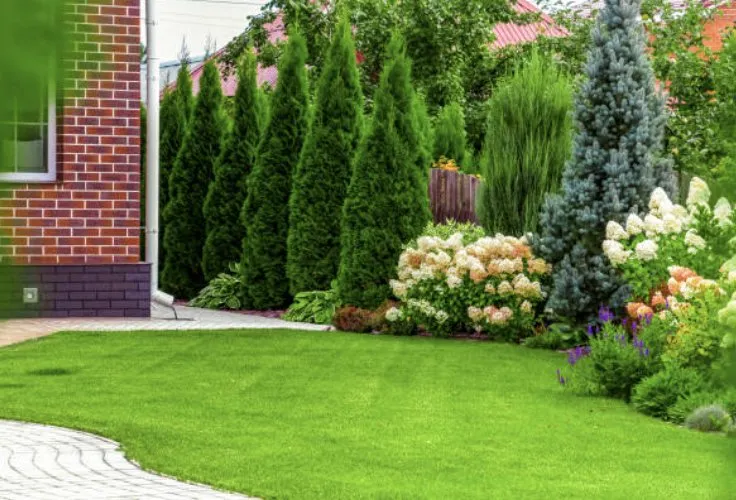 Trusted yard maintenance in San Fernando Valley, CA - Eliseo Gardening Service Landscaping