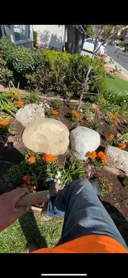 Eliseo Gardening Service Landscaping Logo