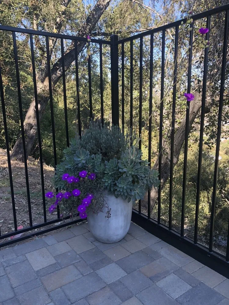 Custom garden landscaping experts serving Lemon Grove, CA - Eliseo Landscape Maintenance