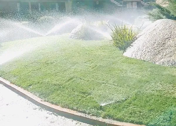 Local landscaping services for year-round maintenance in Lemon Grove, CA by Eliseo Landscape Maintenance