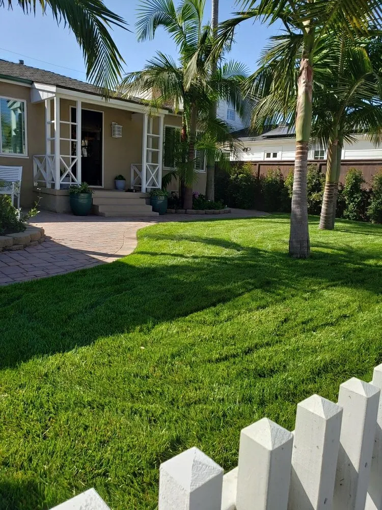 Reliable yard maintenance experts serving Lemon Grove, CA - Eliseo Landscape Maintenance