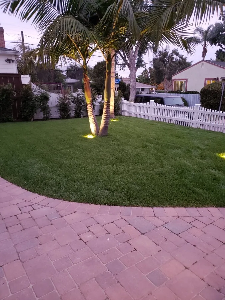 Custom lawn mowing service experts serving Lemon Grove, CA - Eliseo Landscape Maintenance