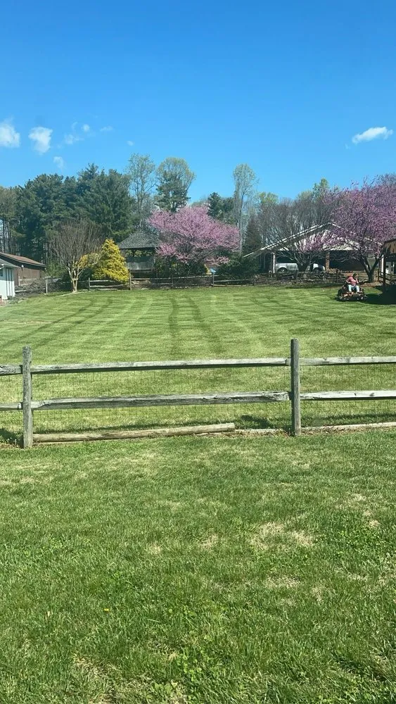 Custom yard cleanup service for outdoor upgrades across Kernersville, NC - Eliseo Lawn Care Service