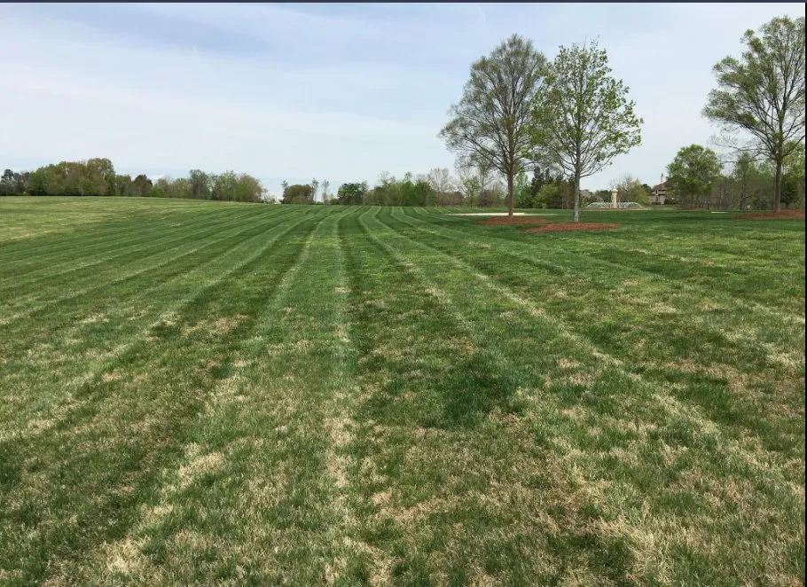 Custom landscape installation experts serving Kernersville, NC - Eliseo Lawn Care Service