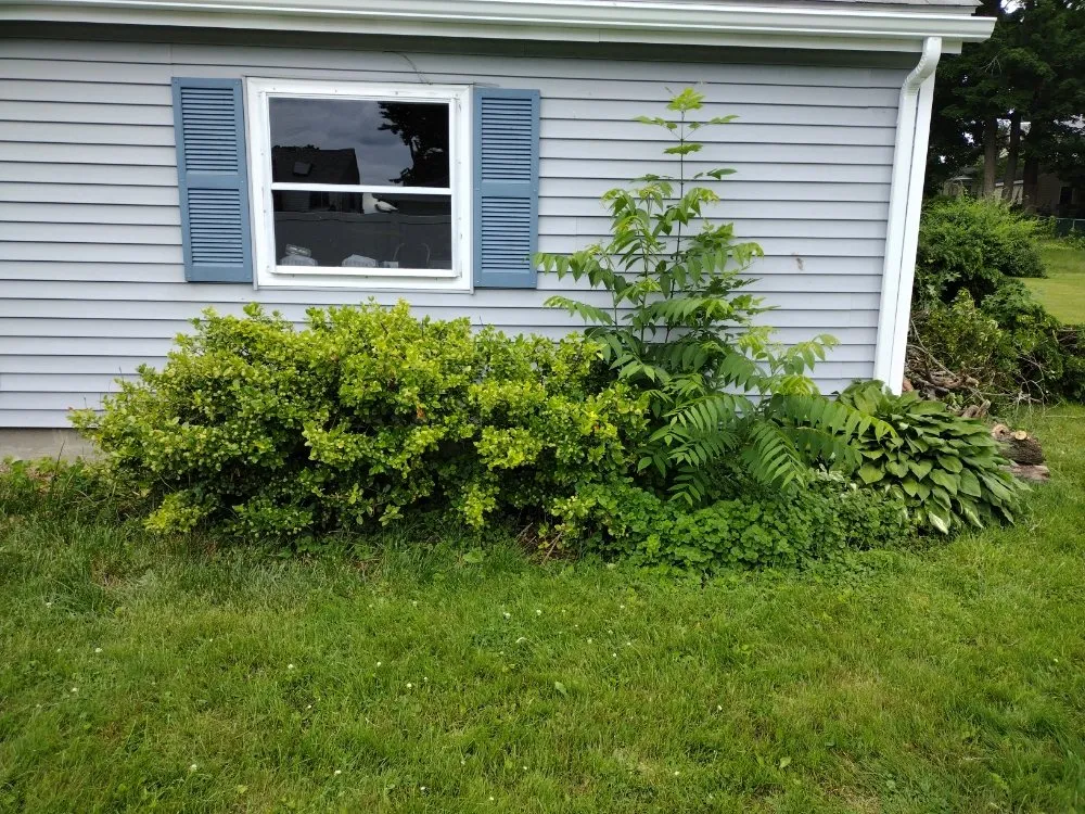 Top-rated lawn care service for year-round maintenance in Taunton, MA by Elisio Estate Maintenance