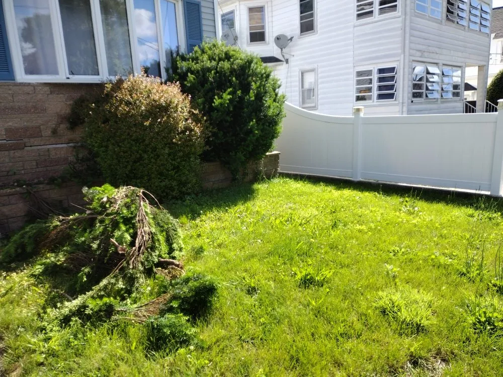 Expert outdoor landscaping experts serving Taunton, MA - Elisio Estate Maintenance