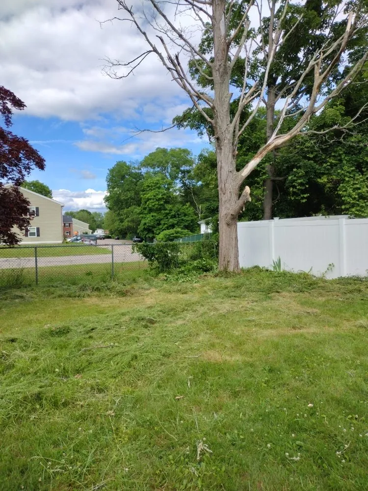 Top-rated outdoor landscaping in Taunton, MA - Elisio Estate Maintenance